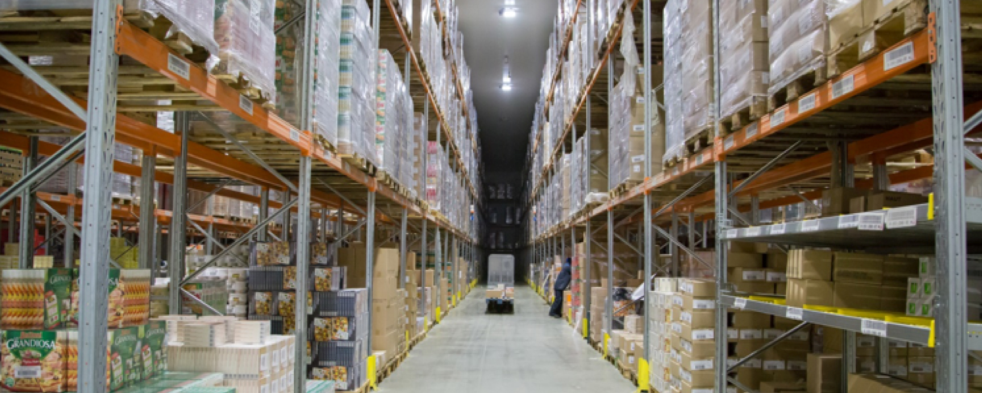 Lionel GUTTON nommé au poste de Directeur des opérations de Mutual Logistics