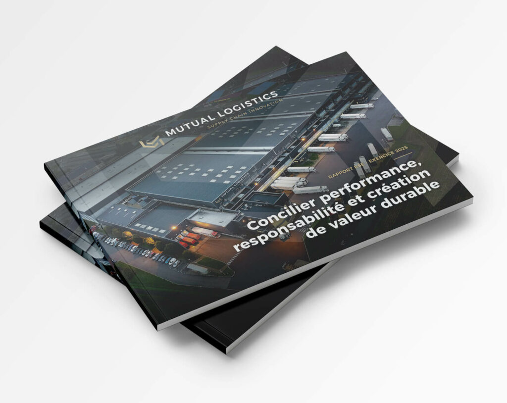 Rapport RSE Mutual Logistics
